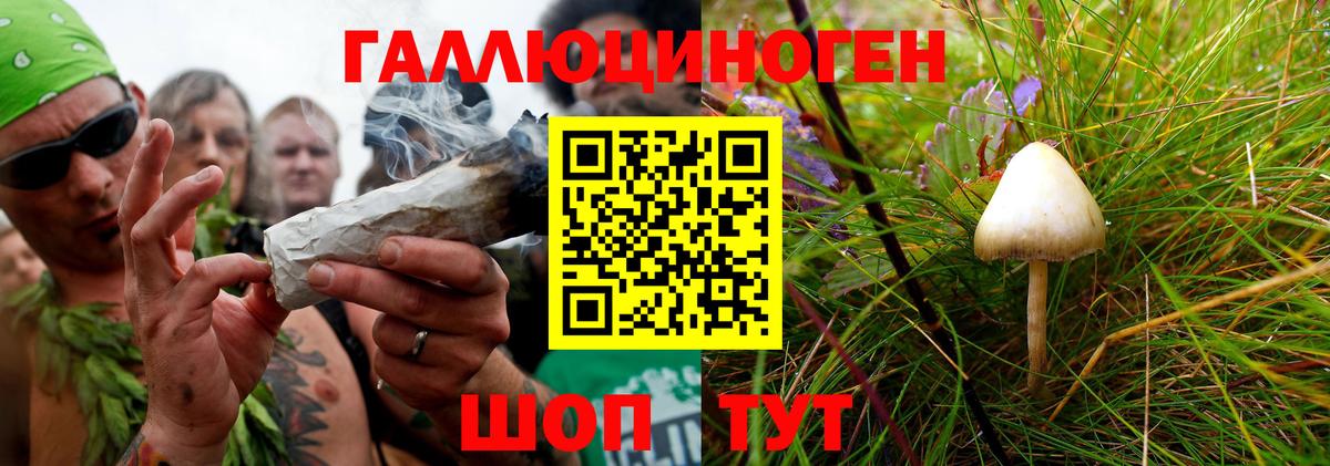 Донецк  Галлюциногенные грибы прущие грибы  Вход с VPN  Галлюциногенные грибы Psilocybe 