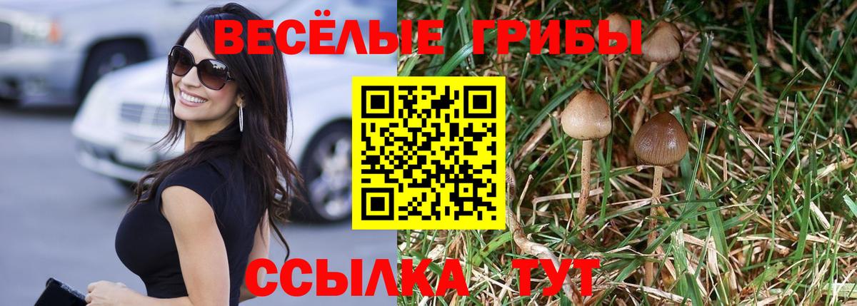 Псилоцибиновые грибы Cubensis Донецк